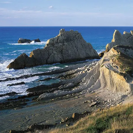 Enjoy ホステル *